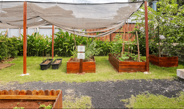 Raised farming beds for gardening and harvesting at Casa Candali farmstay.