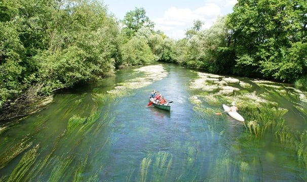 1 Barque et 1 canoë sur une rivière presque recouverte de plantes vertes et bordée par une forêt