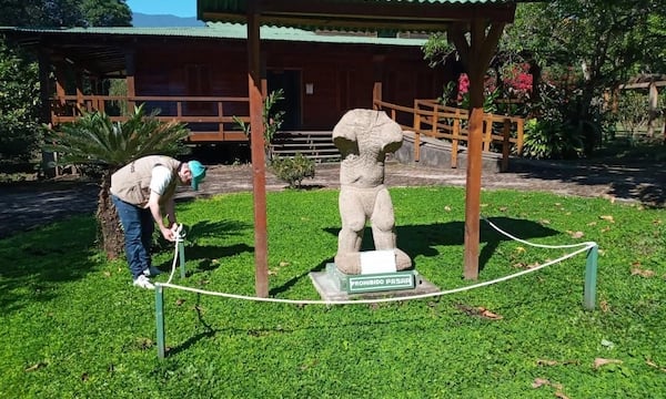 a man is standing in the grass near a statue
