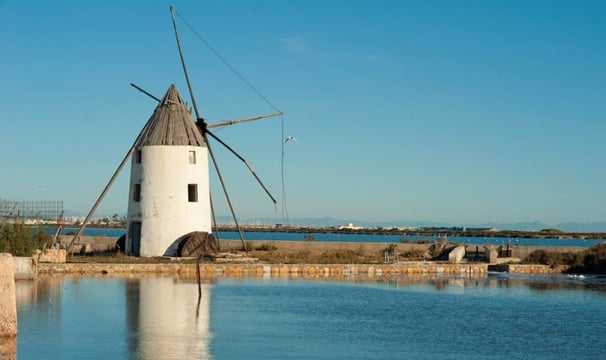 Los molinos in San Pedro del Pinatar