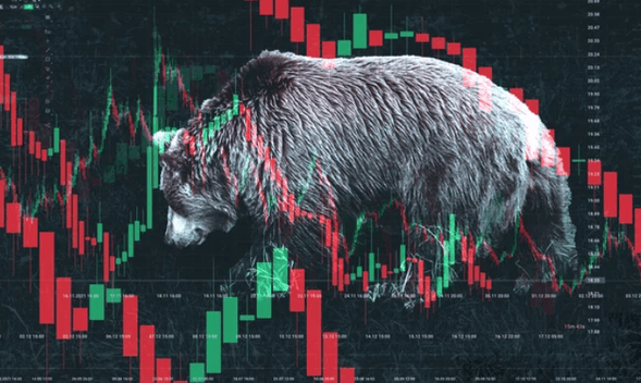 What is some stock market advice?