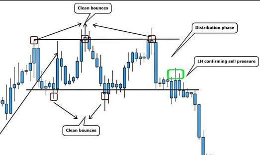 How do you predict price action?