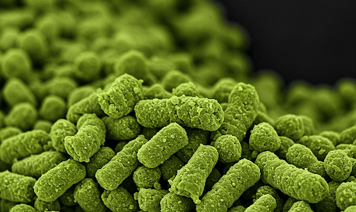 Microparticulated Potato Protein Illustration