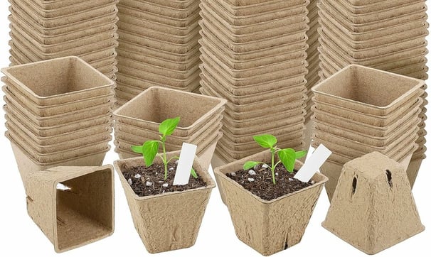 biodegradable seed starter