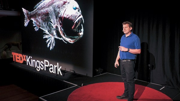 Meet the mysterious "monsters" of the deep sea