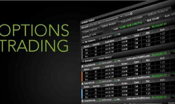 How profitable is options trading? How much of a hassle is it? Can one make good profits with just 1