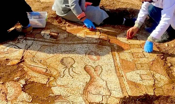 Roman Mosaics Featuring Sea Creatures Unearthed In Turkey