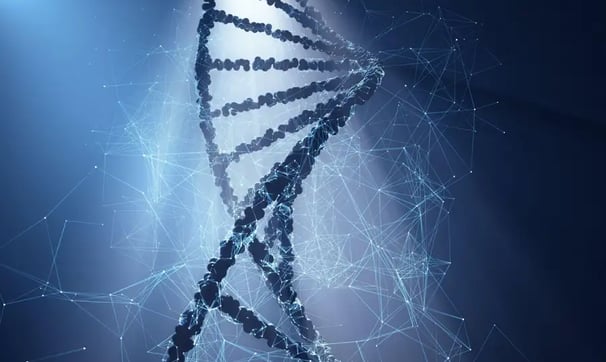 DNA Nanobots can exponentially Self-replicate