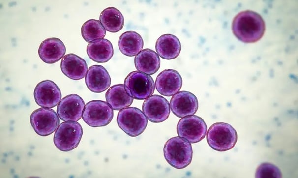 AI discovers new class of antibiotics to kill drug-resistant bacteria