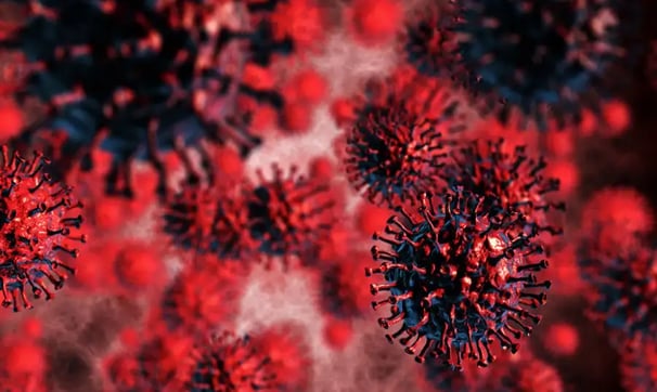 What is Disease X and why is it in the News?