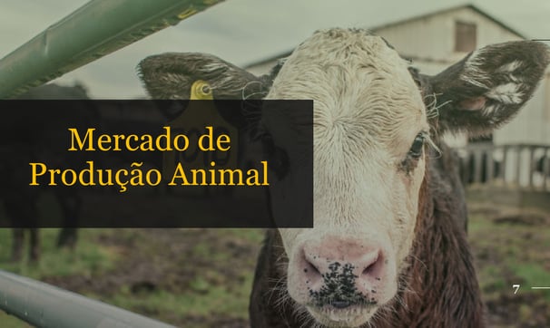 Mercado de Produção Animal