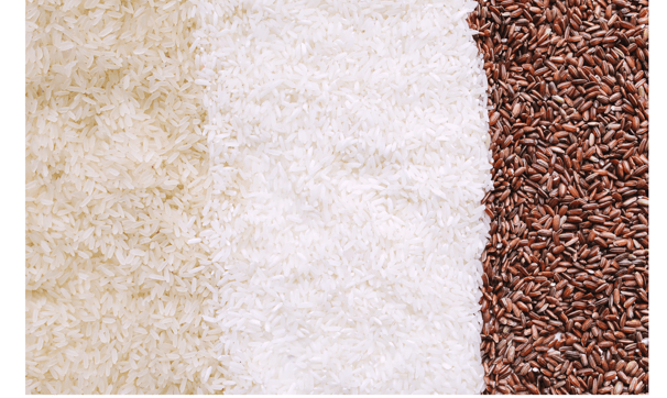 rice brans and rice are shown in three different colors