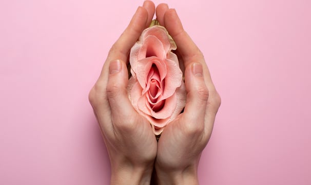 mãos estendidas segurando uma rosa, simbolizando a vida