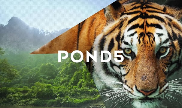 Pond 5