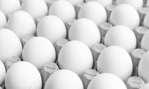 today egg rate in mysore