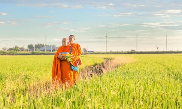 Asia retreat - two monks in a field with a sky background