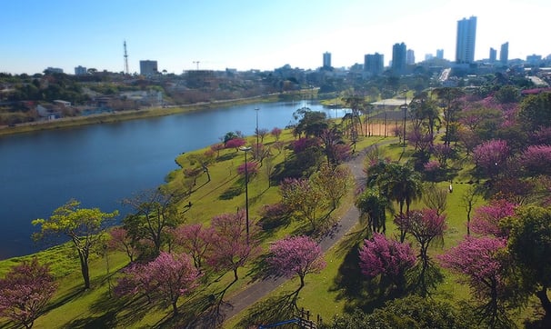 Parque de Lago