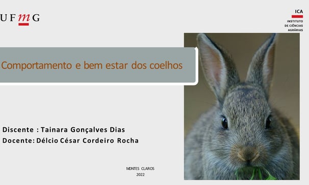 Etologia  e bem estar dos coelhos