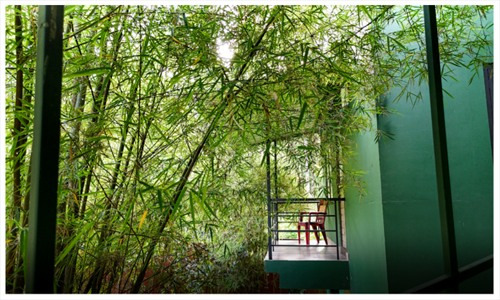 Bamboo House Vythiri