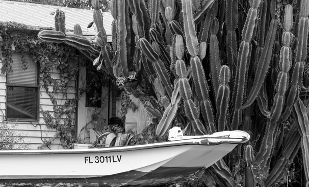 a large cactus behind a boat and house in everglades city florida