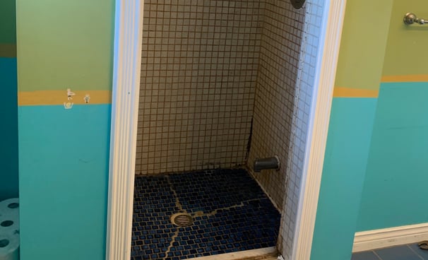 Shower Renovation - Before