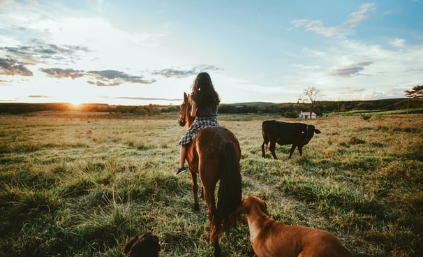 a woman riding a horse in a field