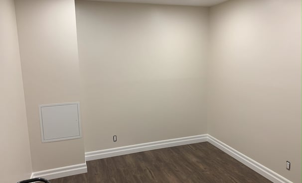Basement Renovation - Bedroom