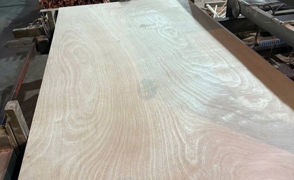 HCPLY quality control staff inspecting plywood sheets at Vietnam factory