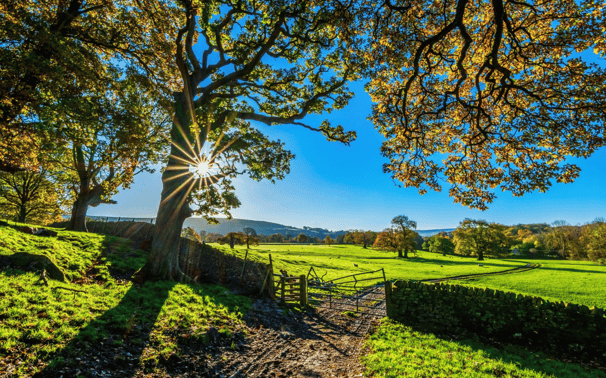 regularização de imóveis rurais