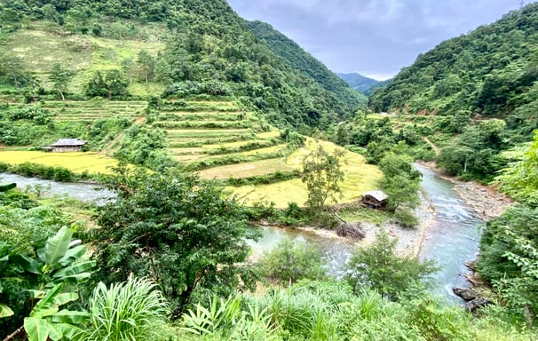 a river running through a valley with a small house in the background