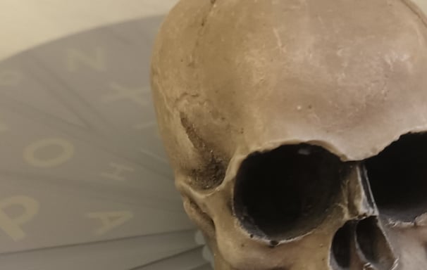 a skull head with a coin on a table