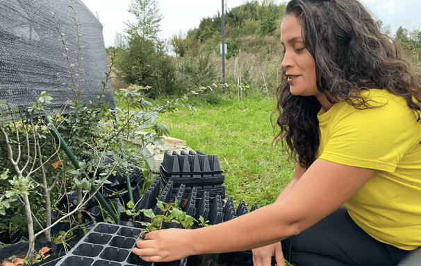 Transplante de plantas desde el vivero de EcoRumbo para restauración y educación ambiental