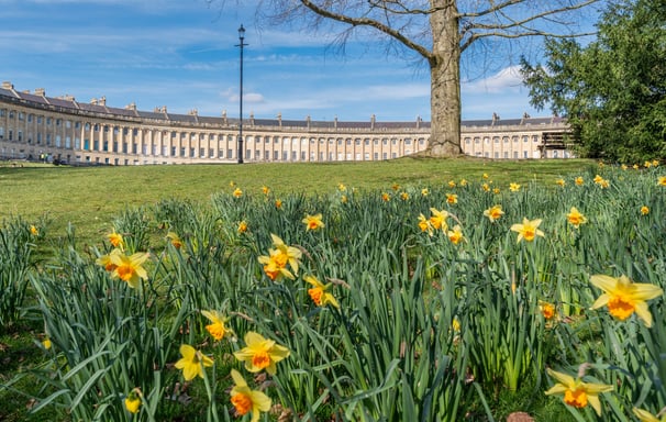 The Royal Crescent in Bath with daffodils.