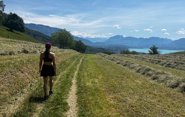 Chemin au milieu d'un près avec le foin et la vue sur le lac du Bourget et les montagnes