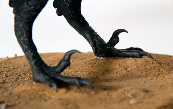 Archaeopteryx 2