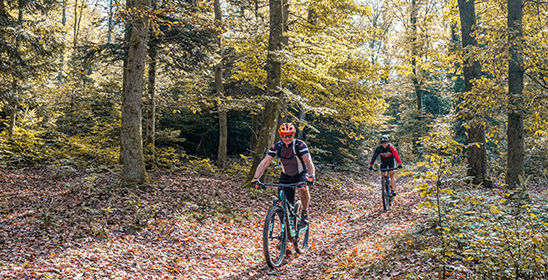 Randonnées pédestres et à vélo dans les Vosges
