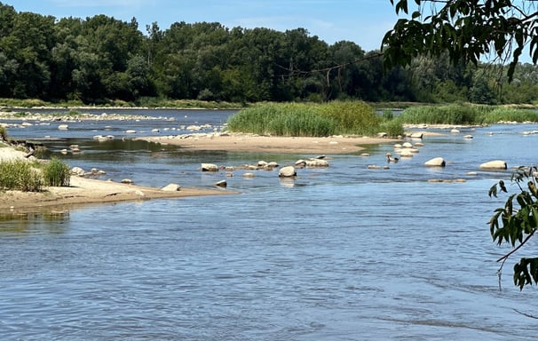 Natura 2000 w centrum Warszawy z Naturą Miasta!