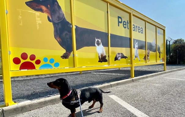 JetSet Pets | Smart City Prestige | Pet Travel