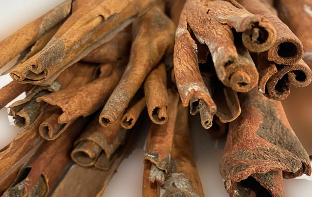 Raw material cinnamon from tree bark