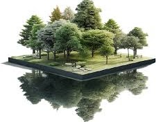 asesoría reforestaciones, diseños reforestaciones, regeneración ecosistemas, técnicas de reforestac 