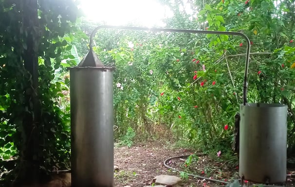 destilación aceites esenciales, alambique, proyectos permacultura, plantas medicinales