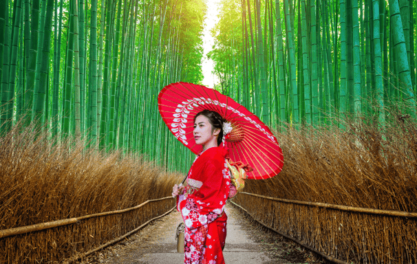 Bosque de Bamboo en Kioto, Japón