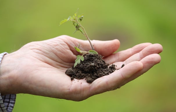 sostenibilità ambientale veganoo