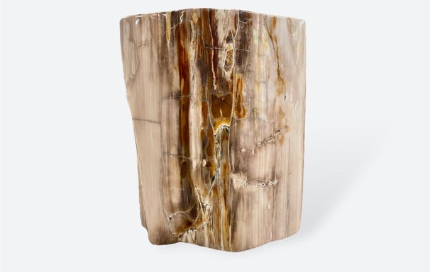 Petrified Wood Side Table