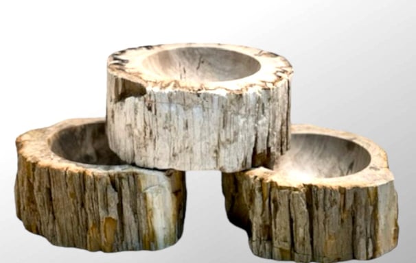 Petrified Wood bowls as Catchalls or Vide Poche
