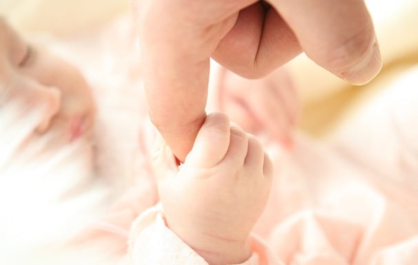 wikifaith-encyclopedia-wikipedia-wikileaks-baby