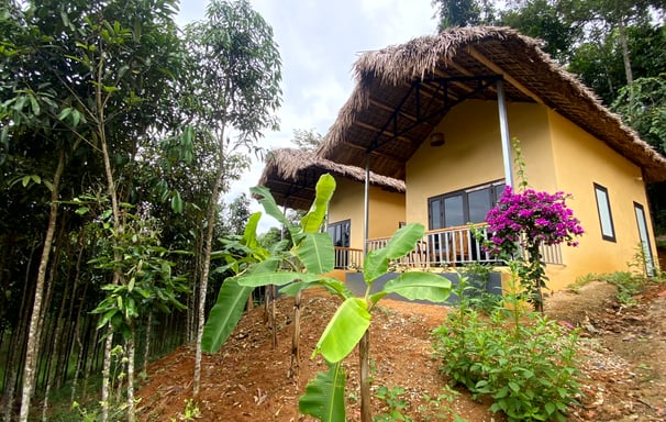 a house with a thatched roof and a thatched roof