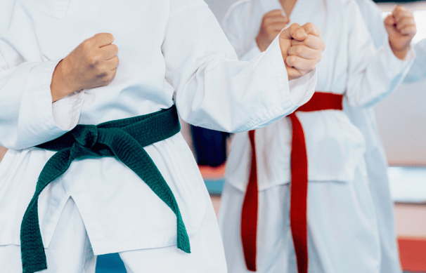 two people standing in a karate pose