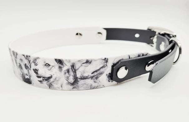 Halsband Biothane mit Print