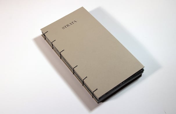 Front cover of Strata publication